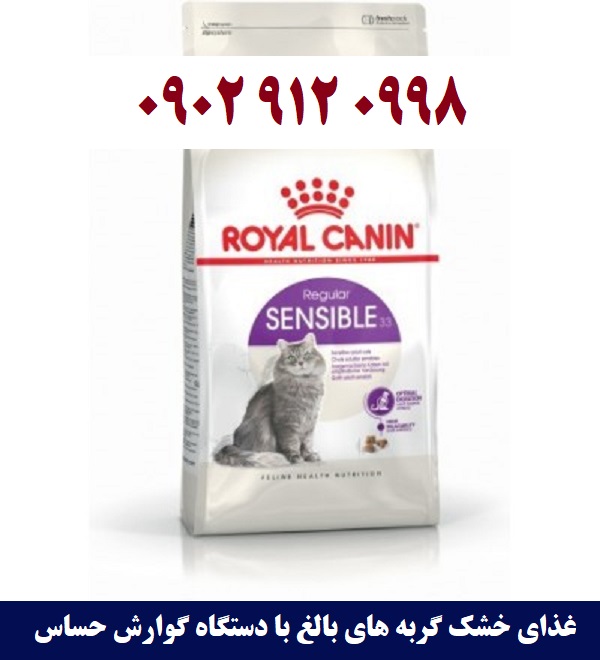 غذای خشک بچه گربه پرشین 4 تا 12 ماه | سفارش: 09029120998